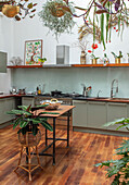 Moderne Küche mit hängenden und stehenden Zimmerpflanzen