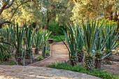 Geschwungener Kiesweg durch Agaven im mediterranen Garten