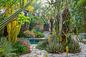 Exotische Bepflanzung mit Kakteen und Aloe am Pool in marokkanischem Garten
