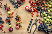 Bird food made from wild fruit (rosehips, apples, sloes) on a wooden table