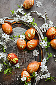 Easter eggs coloured with herbs and flowers