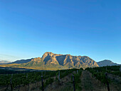 The Cape Winelands, South Africa