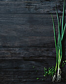 Black wooden background, Chinese chives