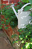 Weiße Gießkanne auf gemauerter Beetumrandung im Garten