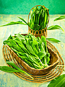 Fresh wild garlic in a wooden bowl and in a basket