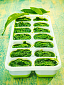 Wild garlic pesto in ice cube tray