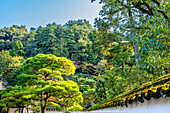 Colorful foliage,, Ginkakuji (Silver Pavilion), Kyoto, Japan. Also known as Jisho-ji.