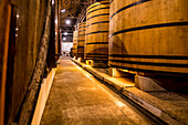 Oak vats and barrels, Real Companhia Velha winery and cellars, Gaia, Porto, Portugal.