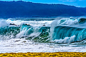 Beobachten großer Wellen, Waimea Bay, North Shore, Oahu, Hawaii. Die Bucht ist berühmt für das Surfen in großen Wellen.