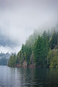Nebel über dem Wald oberhalb des Lake Crescent, Olympic National Park, Washington State, USA.