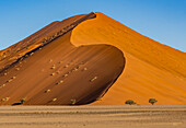 Namib-Naukluft Park, Namibia, Africa. Wide angle landscape view of one of world's tallest sand dunes in the Namib Desert, world's oldest desert.