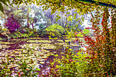 Giverny, France. Landscape view of Claude Monet's famous Japanese water garden.