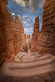 Hiking trail into Bryce Canyon, Bryce Canyon National Park, Utah