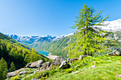 Valle dell Orco, Nationalpark Gran Paradiso, Provinz Turin, italienische Alpen, Piemont, Italien