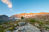 Erstes Licht bei Levanne, Valle dell Orco, Gran Paradiso Nationalpark, Provinz Turin, Piemont, Italienische Alpen, Italien