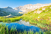 Levanne am frühen Morgen, Valle dell Orco, Gran Paradiso Nationalpark, Provinz Turin, Piemont, Italienische Alpen, Italien