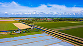Tulip fields in Schagen near Alkmaar and Den Helder, North Holland, Netherlands