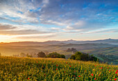 Sonnenaufgang am Podere Belvedere, San Quirico d'Orcia, Siena, Toskana, Italien, Südeuropa