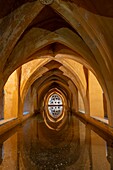 Banos de Dona Maria de Padilla (Baths of Dona Maria de Padilla), Alcazar of Seville, UNESCO, Seville, Andalusia, Spain
