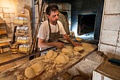Altamura Bread, bakery interior, Altamura, Bari, Apulia, Italy