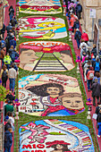 Decorations made with flowers, Noto Flower Festival, Noto, Noto Valley, Sicily, Italy