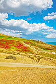 Riserva Naturale di Punta Bianca, Palma di Montechiaro, Agrigento, Sizilien, Italien