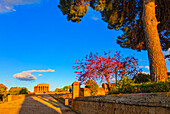 Concordia-Tempel, Tal der Tempel, Agrigento, UNESCO, Sizilien, Italien