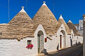 Trulli, Rione Aia Piccola, UNESCO, Alberobello, Bari, Apulien, Italien
