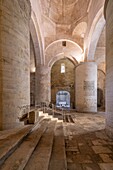 Church of St-Honorat, Alyscamps, UNESCO, Arles, Bouches du Rhone, Camargue, Provence-Alpes-Cote d'Azur, France