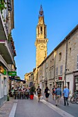 Avignon, Grand Avignon, Rhone Valley, Vaucluse, Provence-Alpes-Cote d'Azur, France