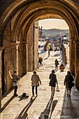 Santiago de Compostela, Galicia, Spain