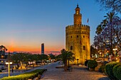 Tower of Gold (Torre del Oro), Seville, Andalusia, Spain