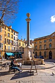Meager flower market, Aix-en-Provence, Bouches du Rhone, Provence-Alpes-Cote d'Azur, France