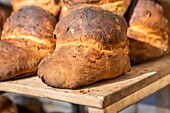 Altamura Bread, Altamura, Bari, Apulia, Italy