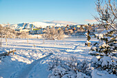 View of Tjornin park and Lutheran Free Church on a sunny day in winter, Reykjavik, Iceland