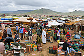 Weekly Berber market, Khenifra province, Middle Atlas, Morocco