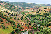 Oum-er-Rbia valley, Khenifra region, Middle Atlas, Morocco
