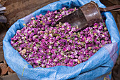 Dried roses, Attarine souk, Medina, Fes, Morocco