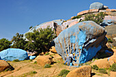 Painter working on Painted Rocks site, work of the Belgian artist Jean Verame, around Tafraout, Anti-Atlas, Morocco