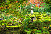 Picturesque view of mossy mounds, stone accents, and tranquil pond in Shuheki-en Garden near Sanzen-in Temple, Kyoto, Honshu, Japan