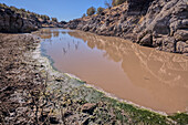 View of the lake created by the historic Bainbridge Steel Dam near Ash Fork, Kaibab National Forest, Arizona, United States of America