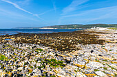 Beach at Rathlin Island, County Antrim, Ulster, Northern Ireland, United Kingdom