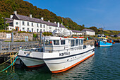 Katamaran vor Anker im Hafen, Rathlin Island, County Antrim, Ulster, Nordirland, Vereinigtes Königreich
