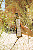 Bottle of Moringa oil in Moringa peregrina tree at Our Habitas AlUla, sustainable desert luxury resort in the Ashar Valley, Medina Province, Saudi Arabia