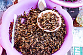 Fried insects and crickets, a delicacy on a market in northern Thailand, Thailand