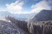 Luftaufnahme von schneebedeckten Tannenbäumen, Polen