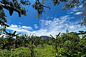 Mount Hagen, Hochlandregion, Papua-Neuguinea