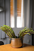 Wild asparagus bundles soaking in a pot placed on a table in Sevilla, Spain.