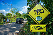 Monkey traffic sign near Arenal volcano and La Fortuna, Costa Rica
