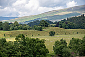 Feld auf einem Hügel in der Landschaft von Yorkshire, England